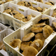 Illustration for article titled Why a Small Pennsylvania Town Is the Mushroom Capital of the World